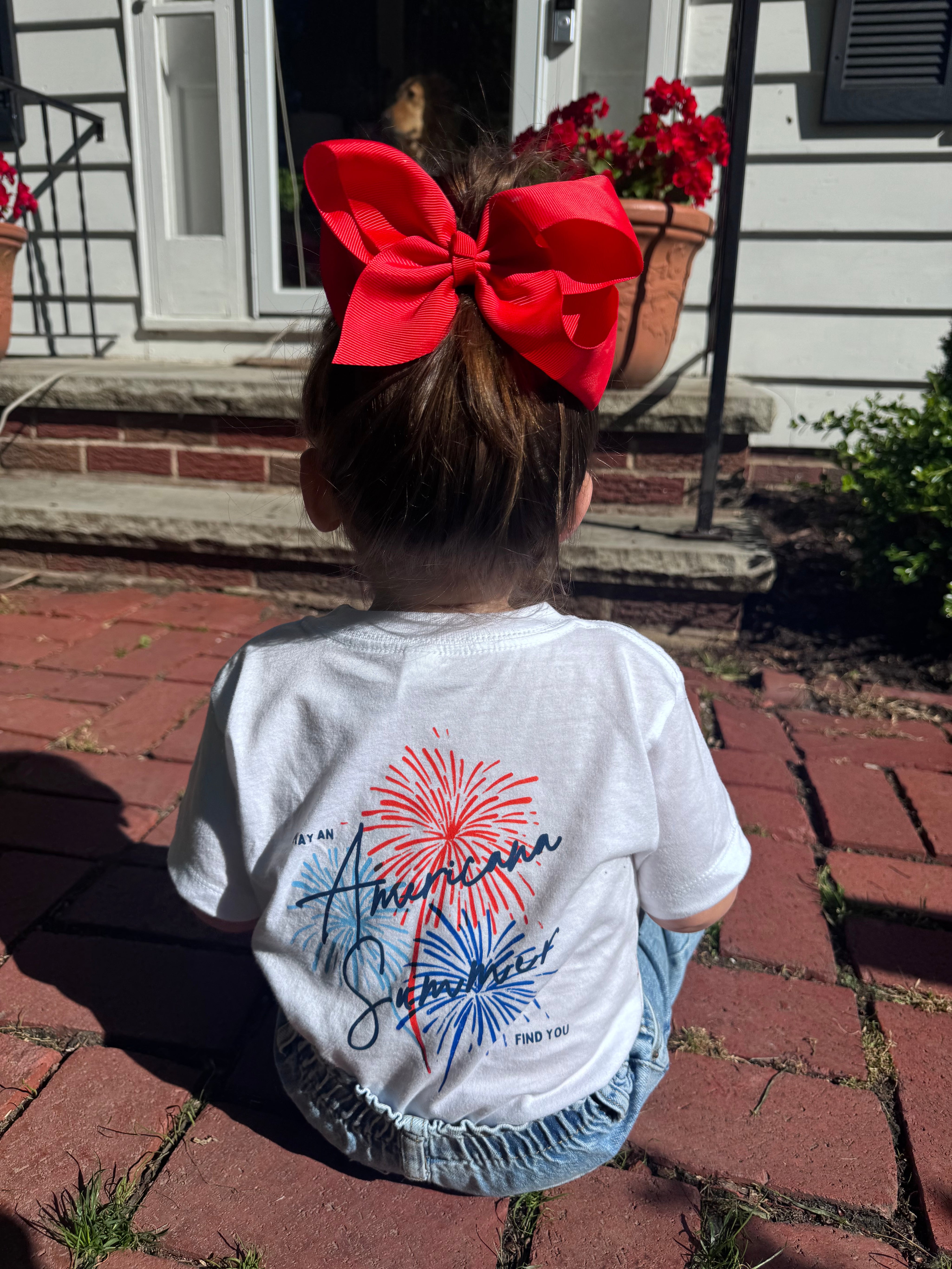 "Have an Americana Summer" - Crewneck Tee