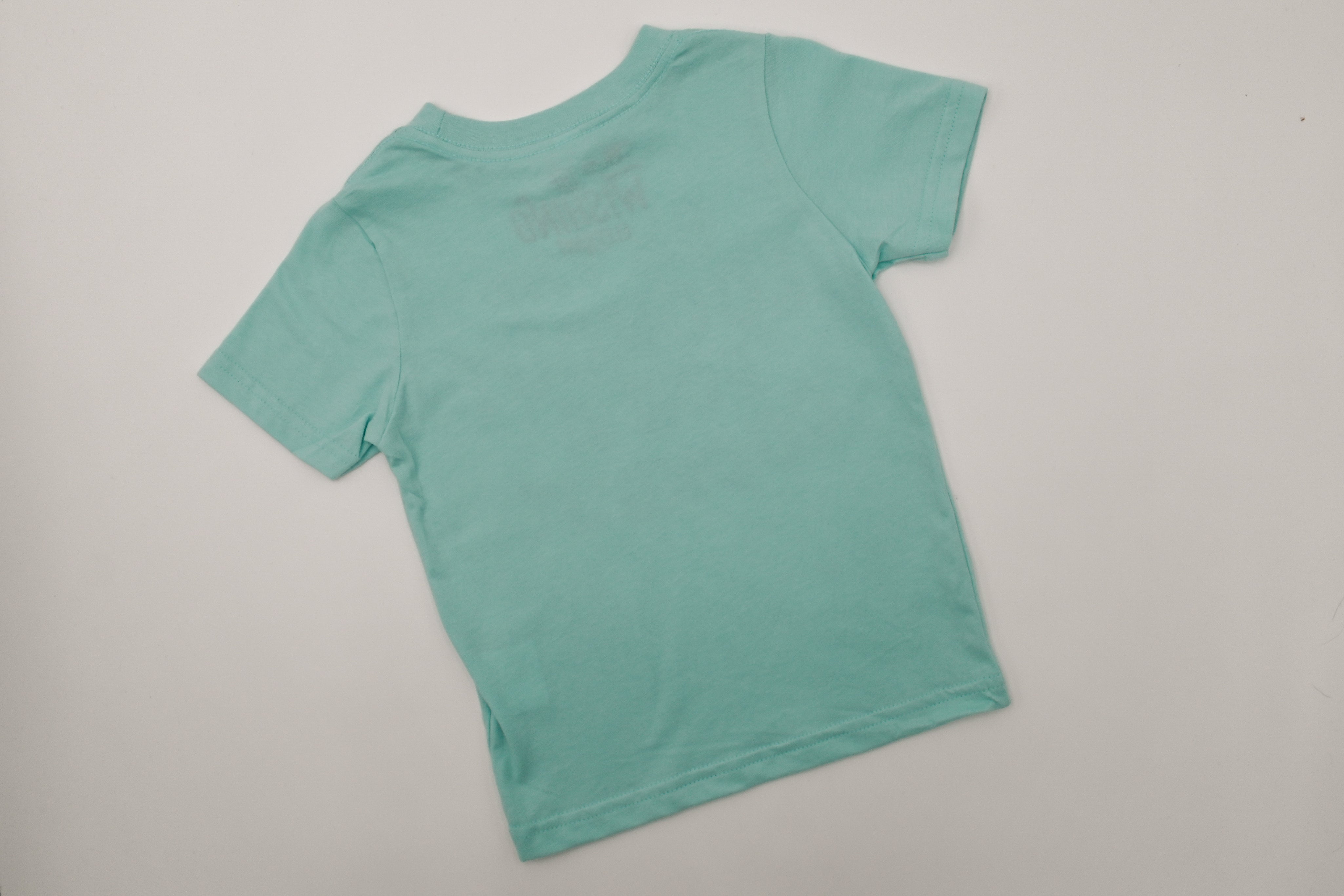 On the Lookout for a Cookout T-Shirt - Mint