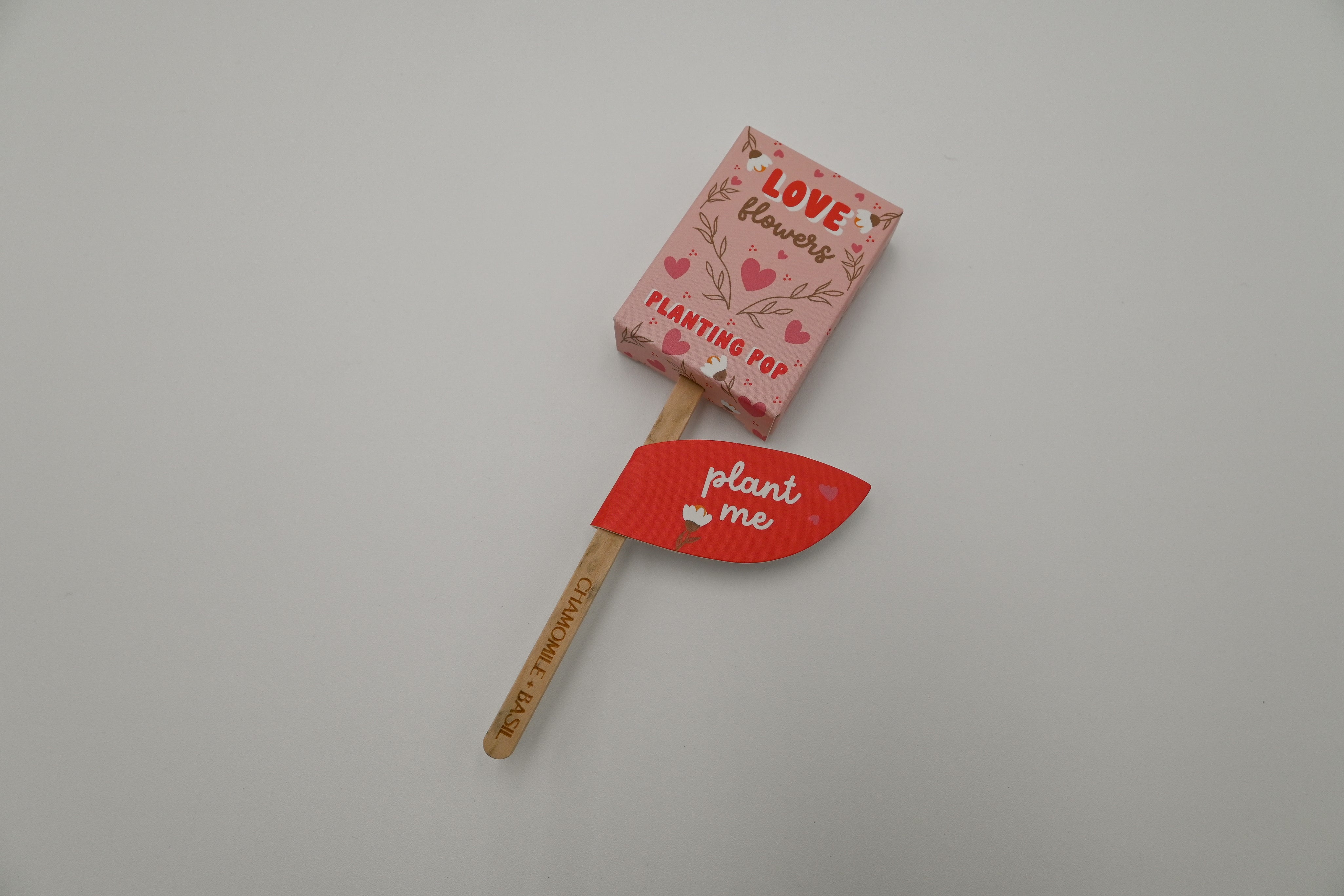 Seeds of Love - Planting Pop