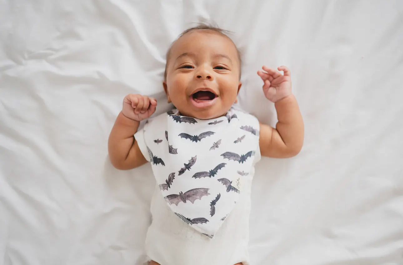 Organic Baby Bib - Busy Bats