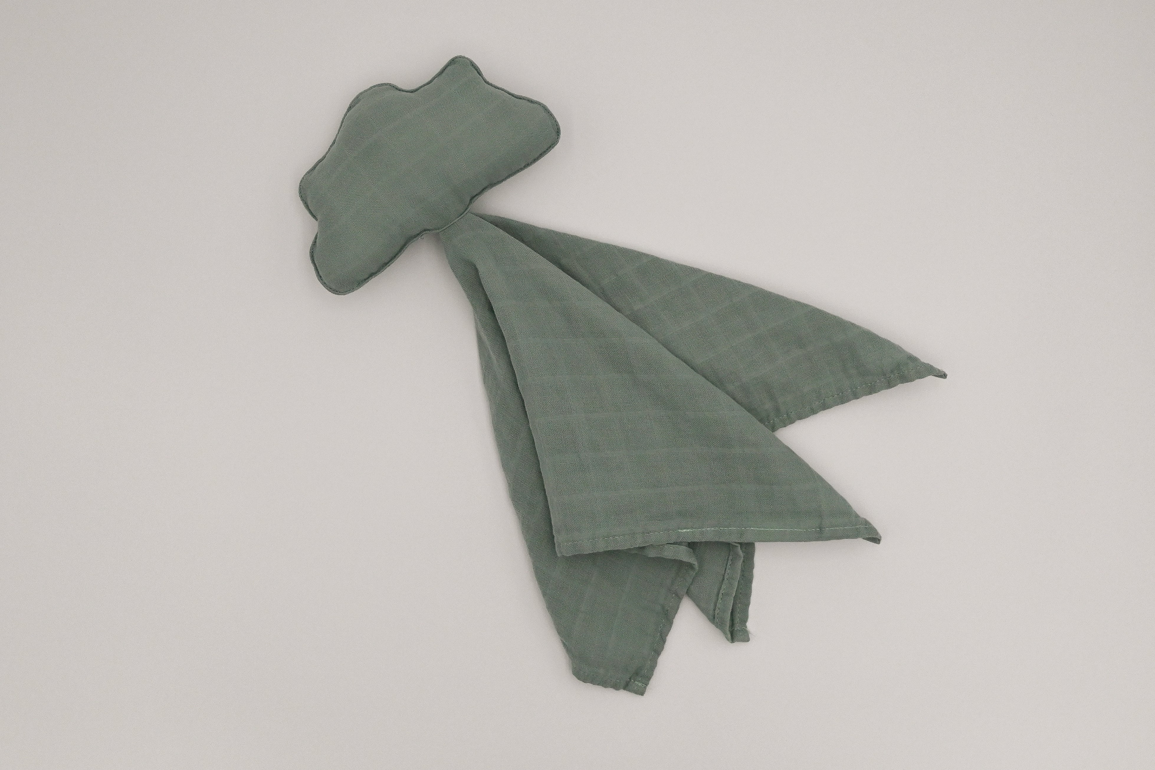 DSC2553-2.jpg
