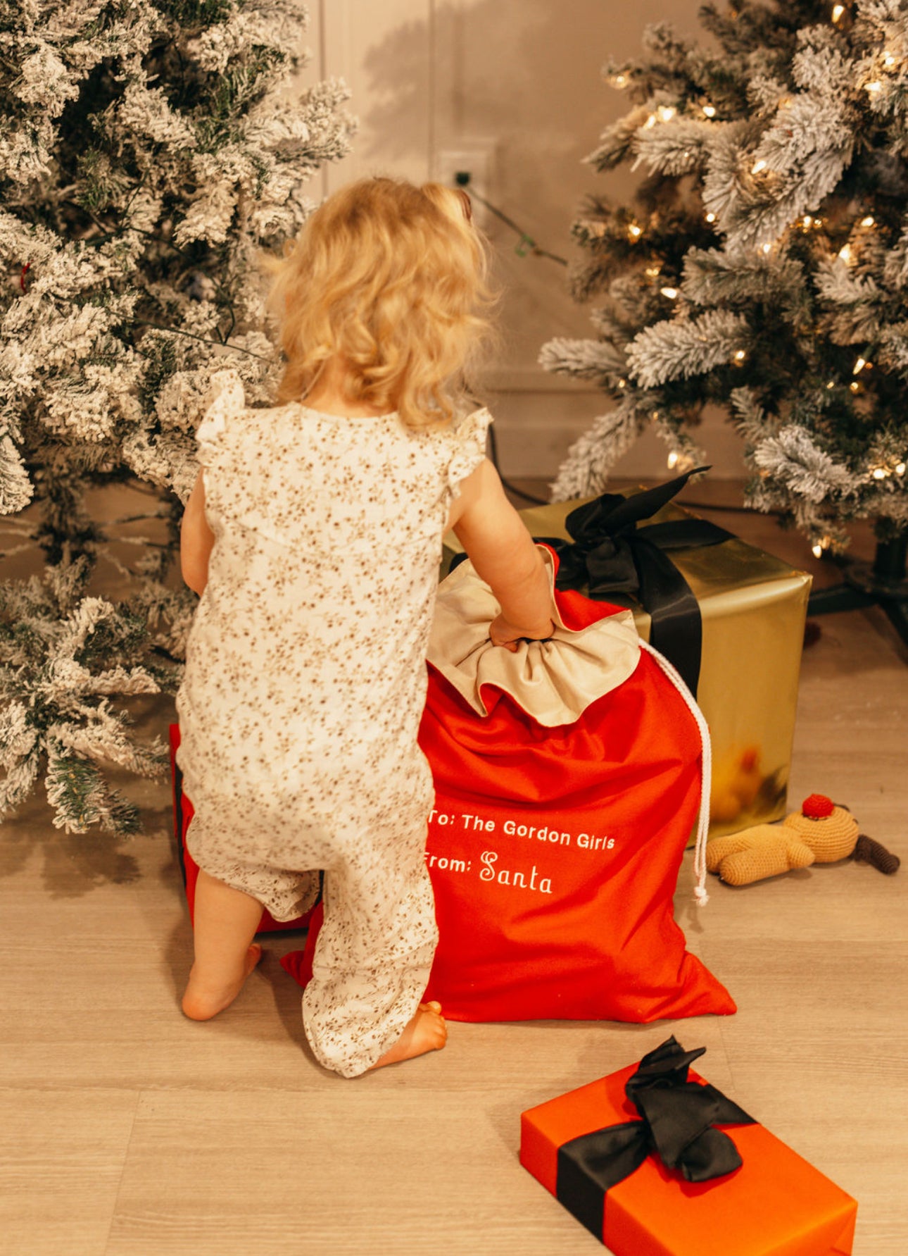 Personalized Santa Gifting Bags