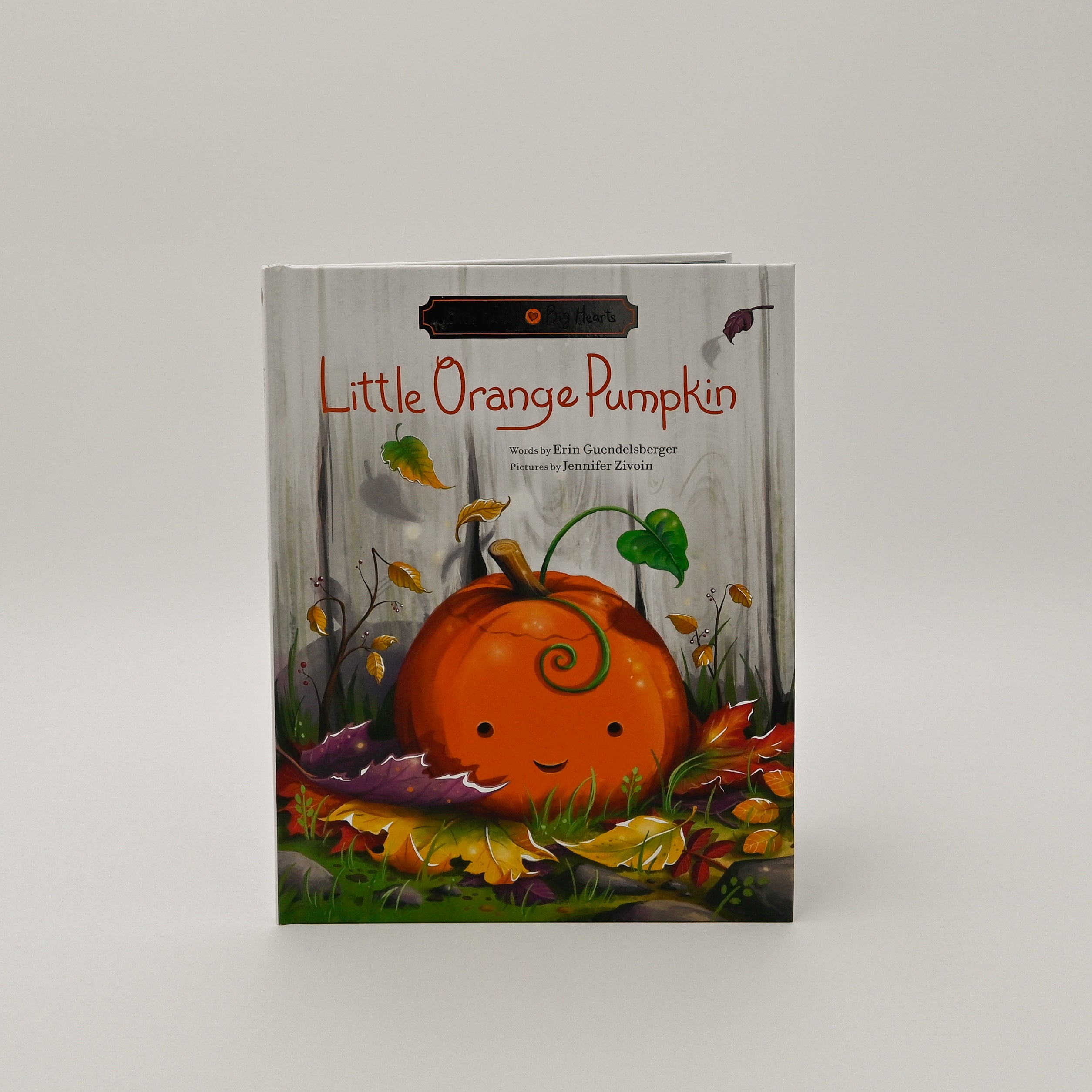 Little Orange Pumpkin